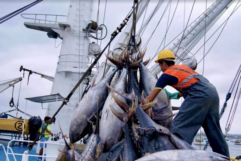 Dirección De Pesca Industrial Subsecretaria De Recursos Pesqueros 2188