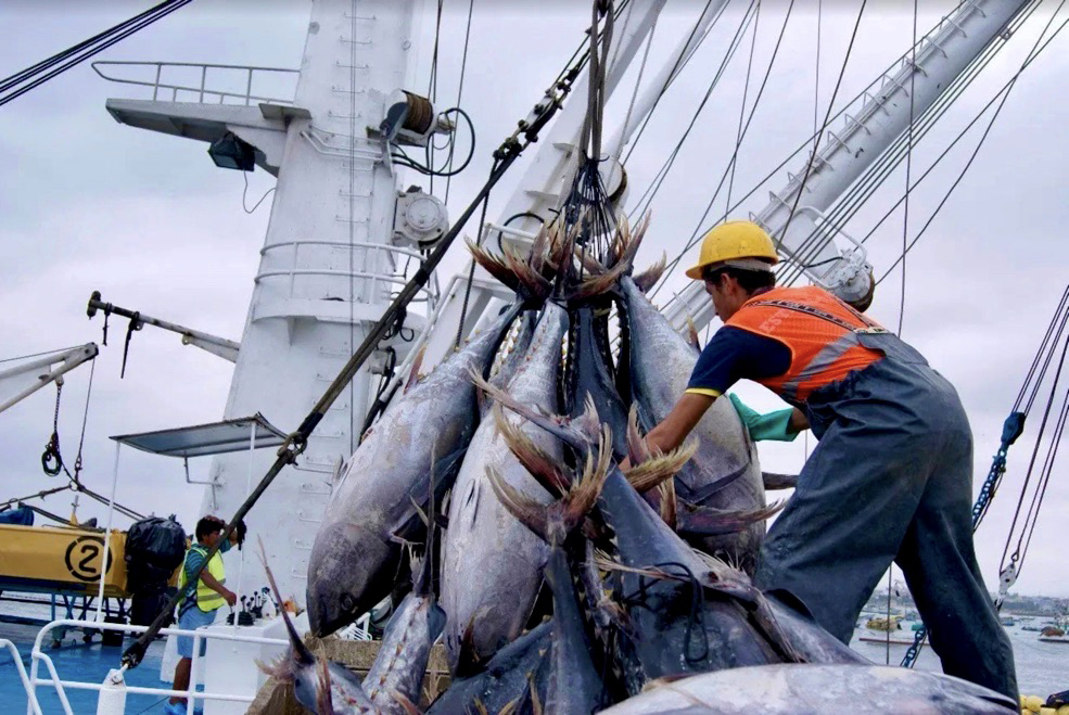 Dirección de Pesca Industrial – Subsecretaria de Recursos Pesqueros